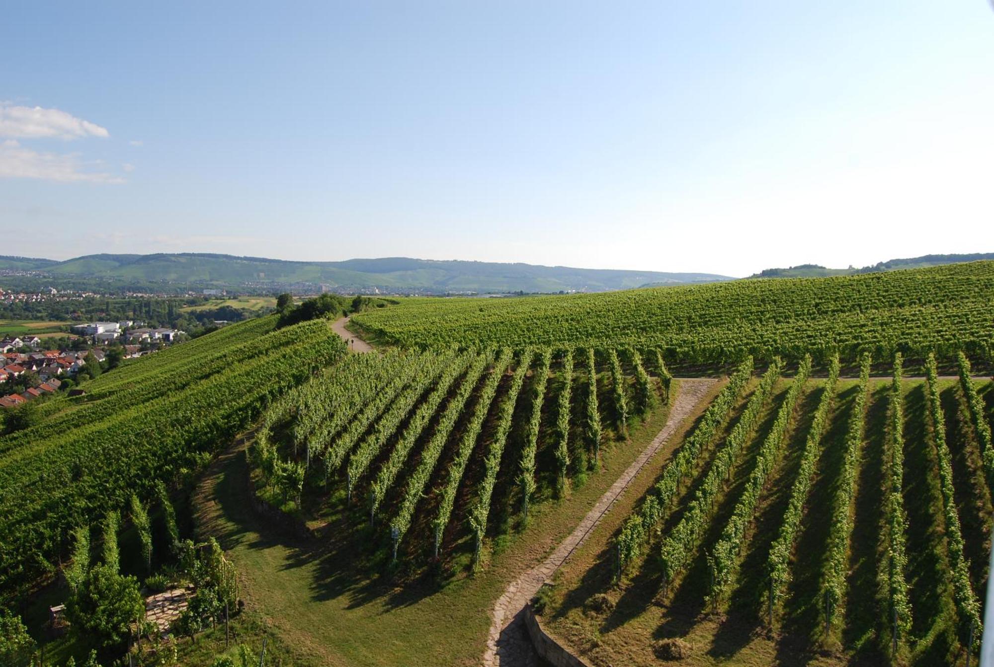 Stetten  Unter Der Yburg Stetten מראה חיצוני תמונה