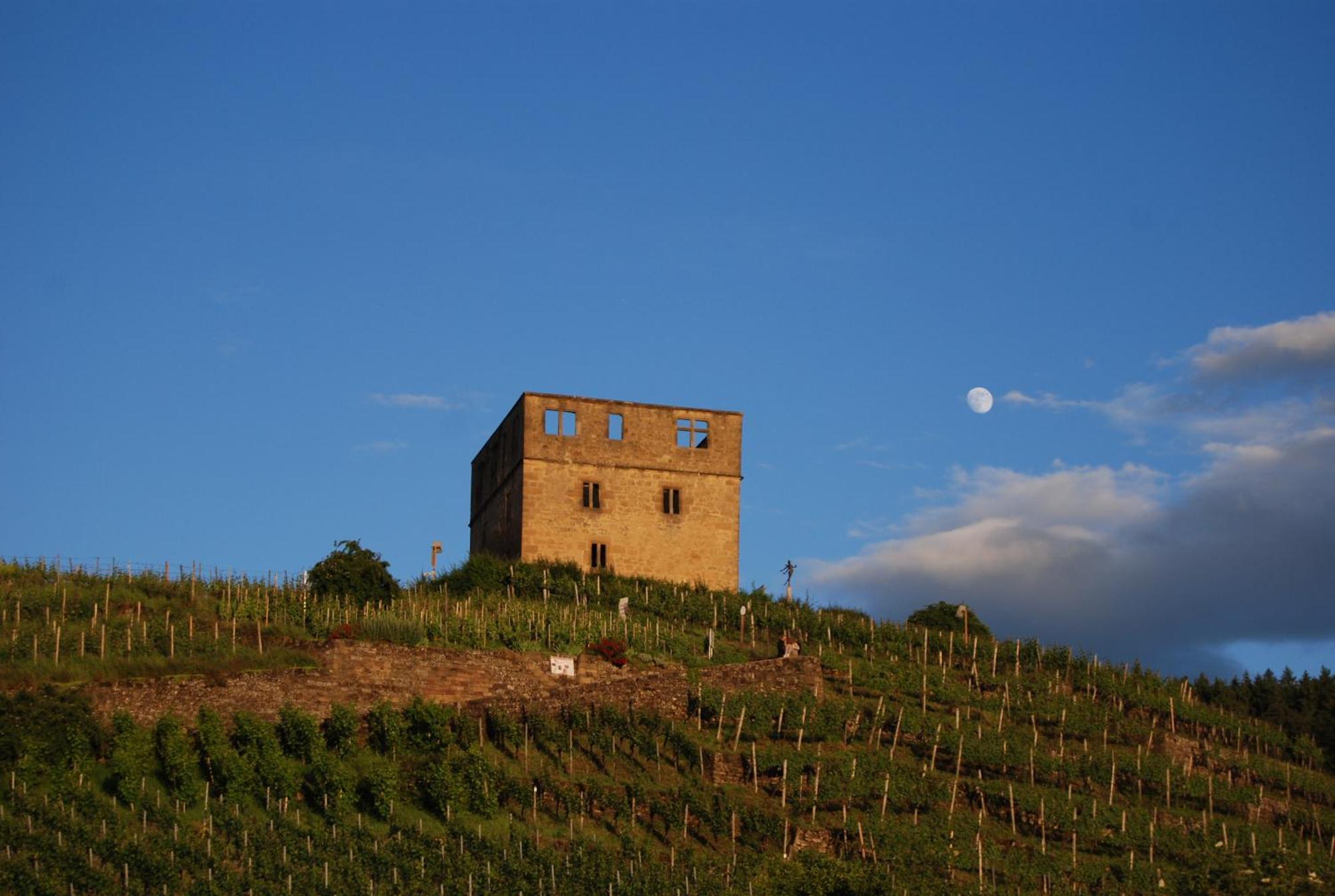 Stetten  Unter Der Yburg Stetten מראה חיצוני תמונה