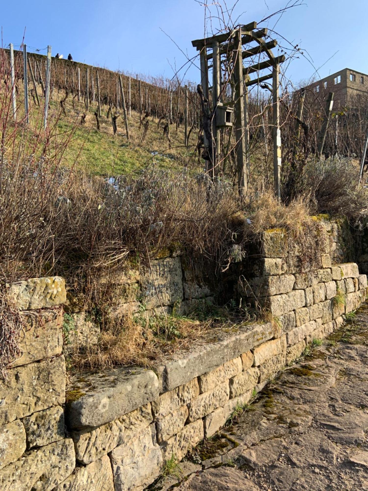 Stetten  Unter Der Yburg Stetten מראה חיצוני תמונה