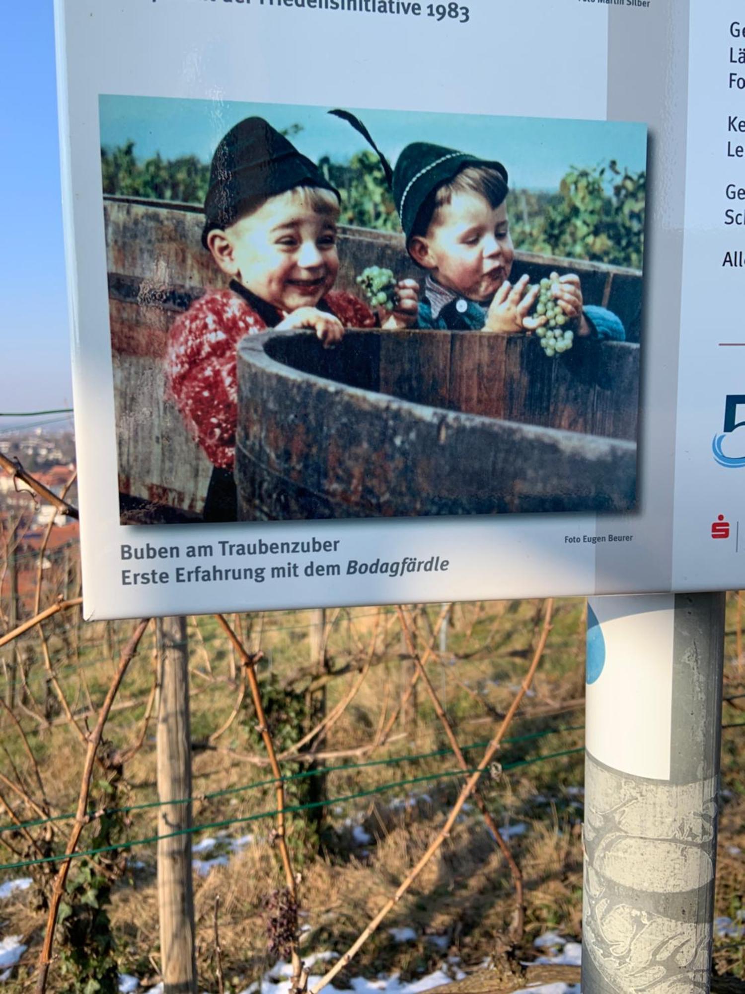 Stetten  Unter Der Yburg Stetten מראה חיצוני תמונה